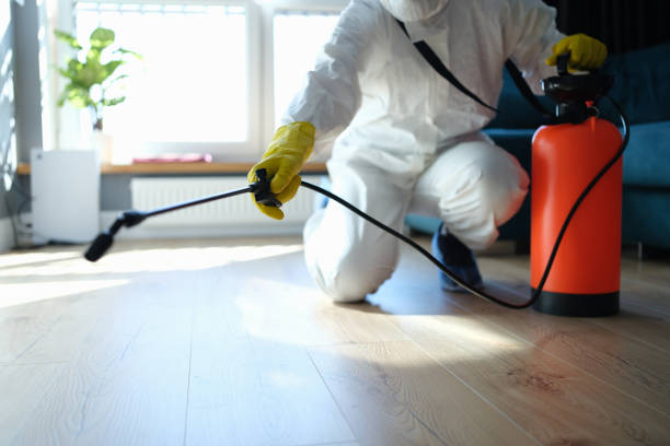 Trusted Forest City, FL Pest Control Experts