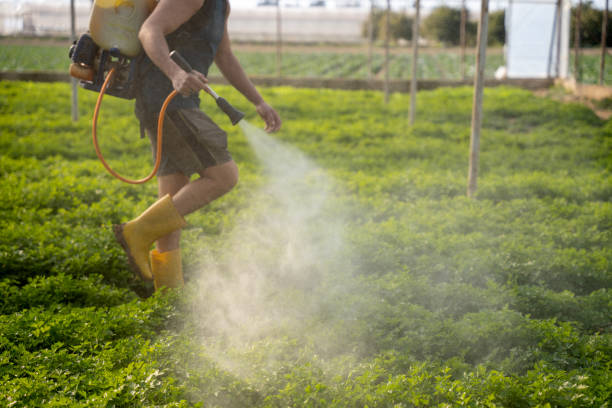Best Insect Control  in Forest City, FL