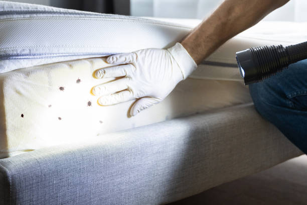 Best Affordable Pest Control Services  in Forest City, FL
